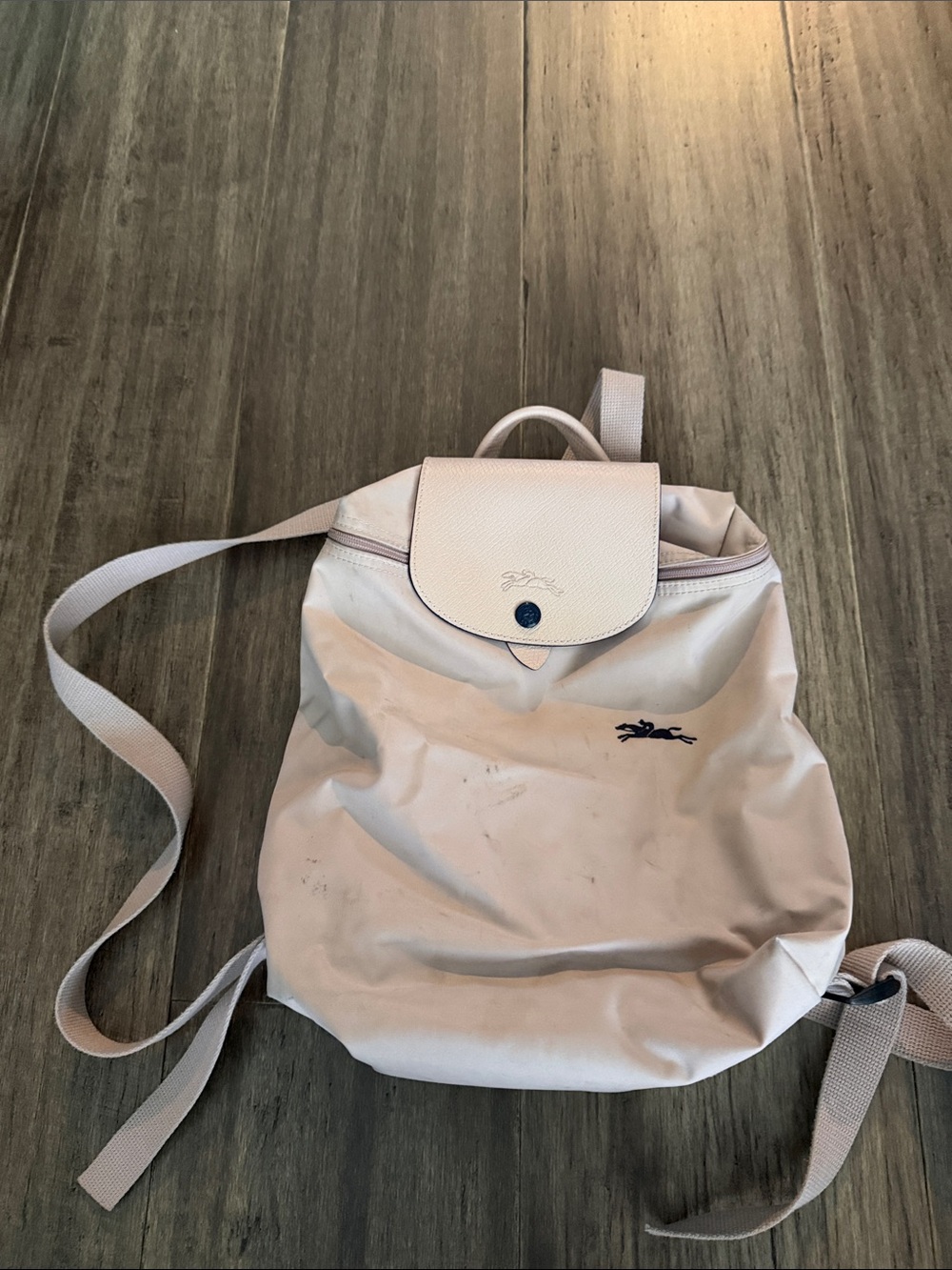 Longchamp light pink backpack with navy logo